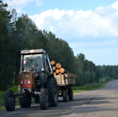 Порубочные остатки вывозят